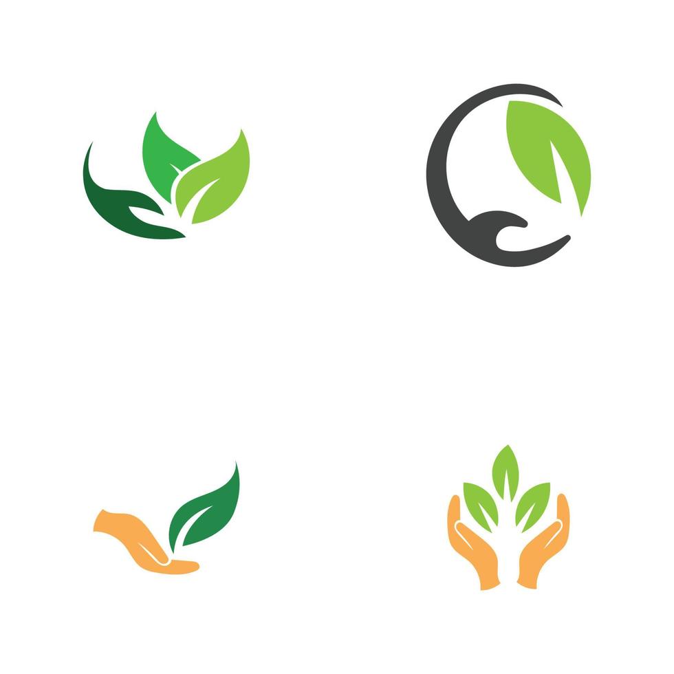 hand leaf logo vector