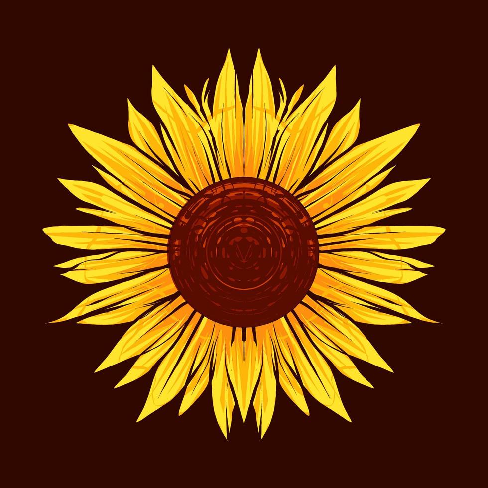 sunflower vector illustration with antique style, vintage and old