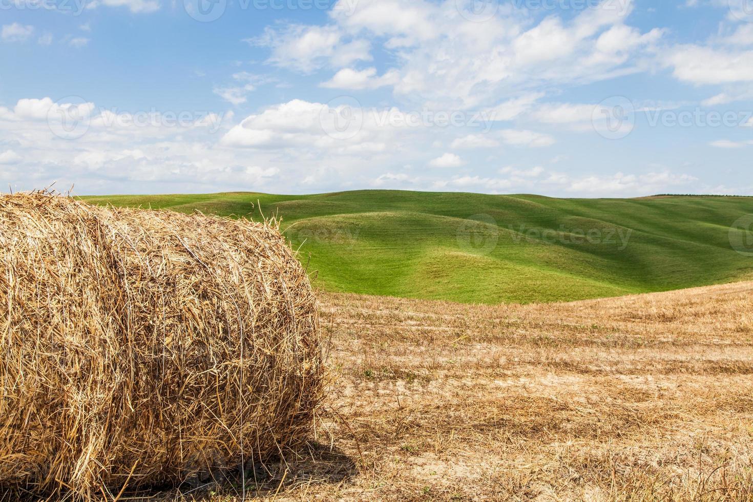 Tuscany agriculture in Italy photo