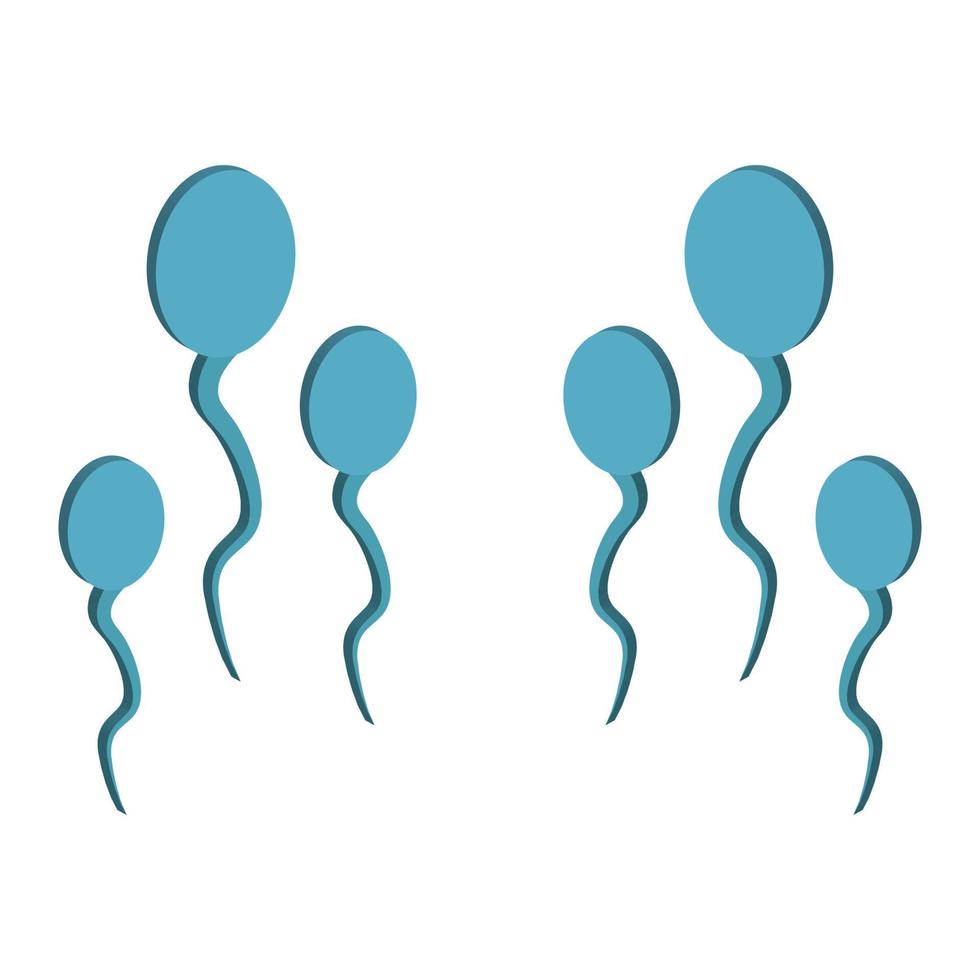 Sperm Illustrated On White Background vector