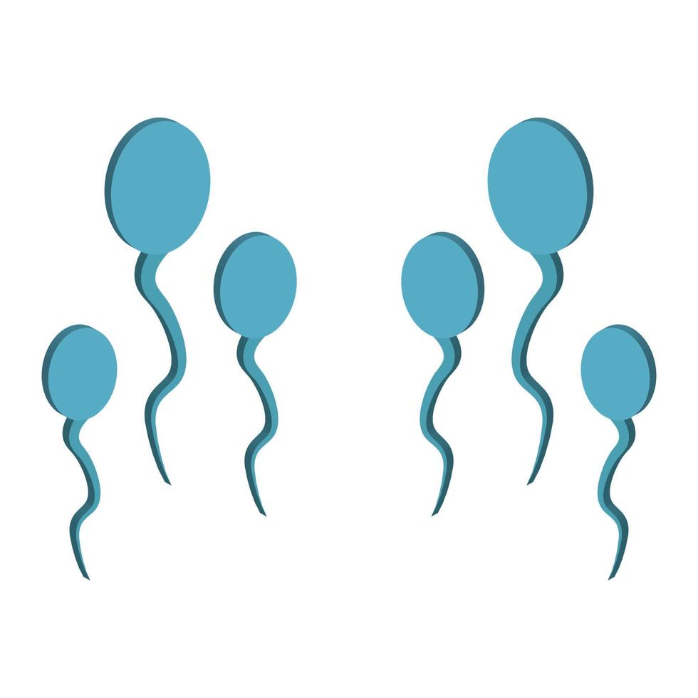 Sperm Illustrated On White Background vector