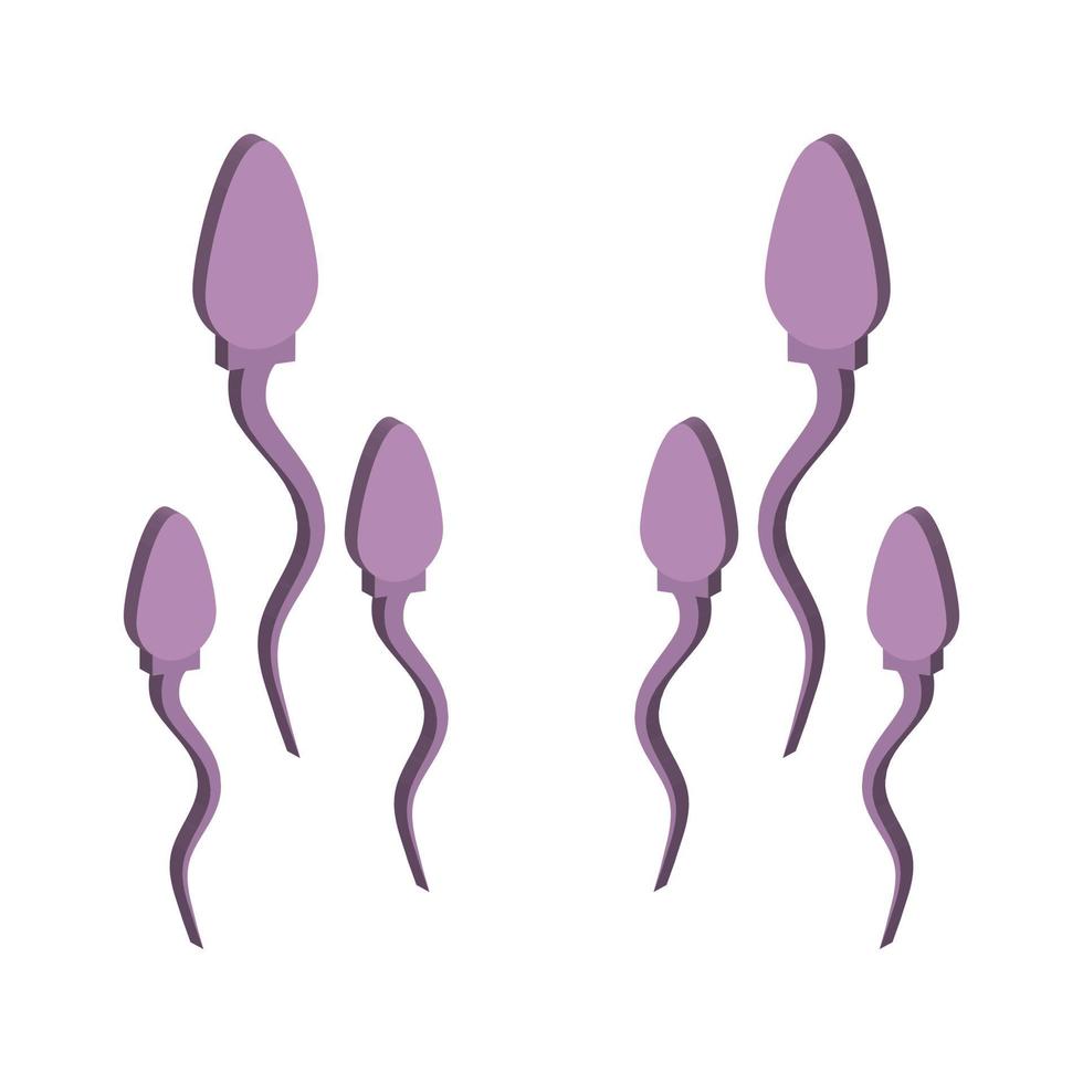 Sperm Illustrated On White Background vector