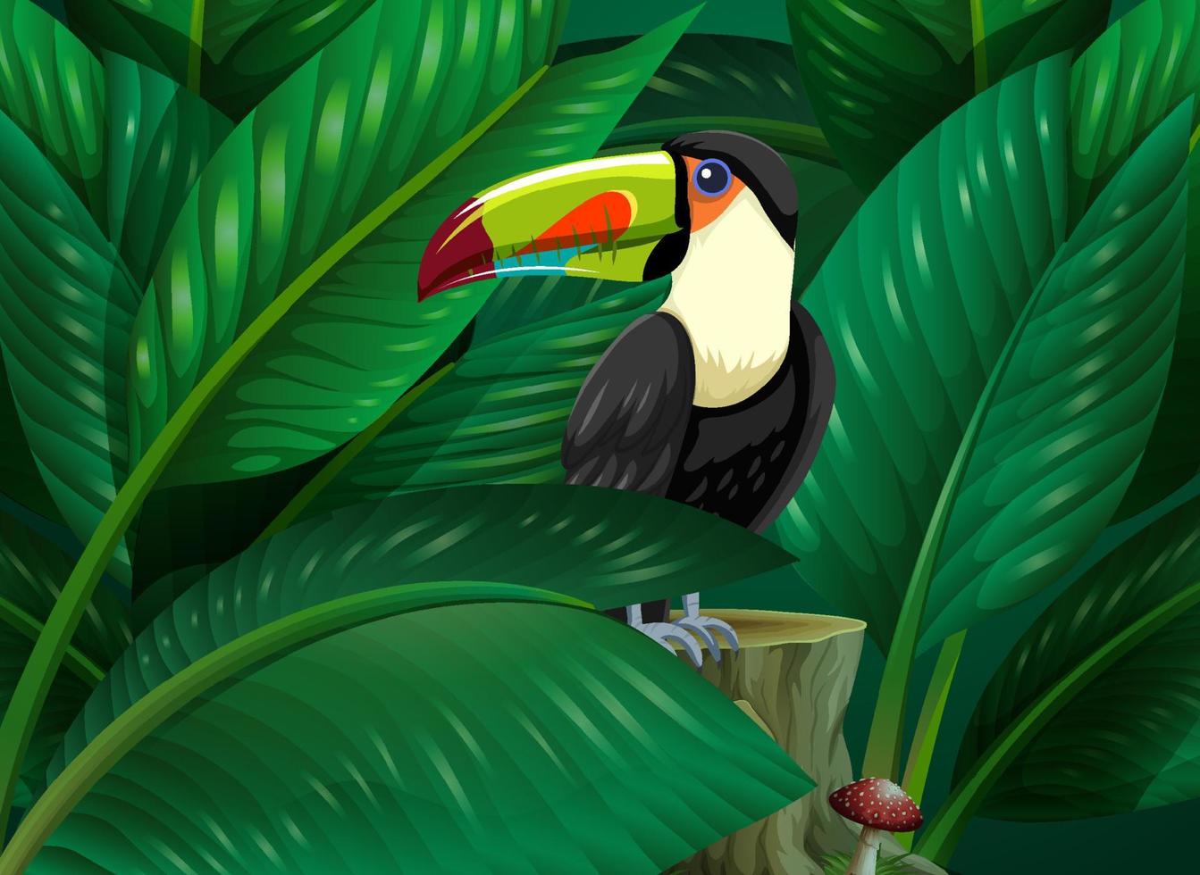 Toucan hidden in the tropical leaves background vector