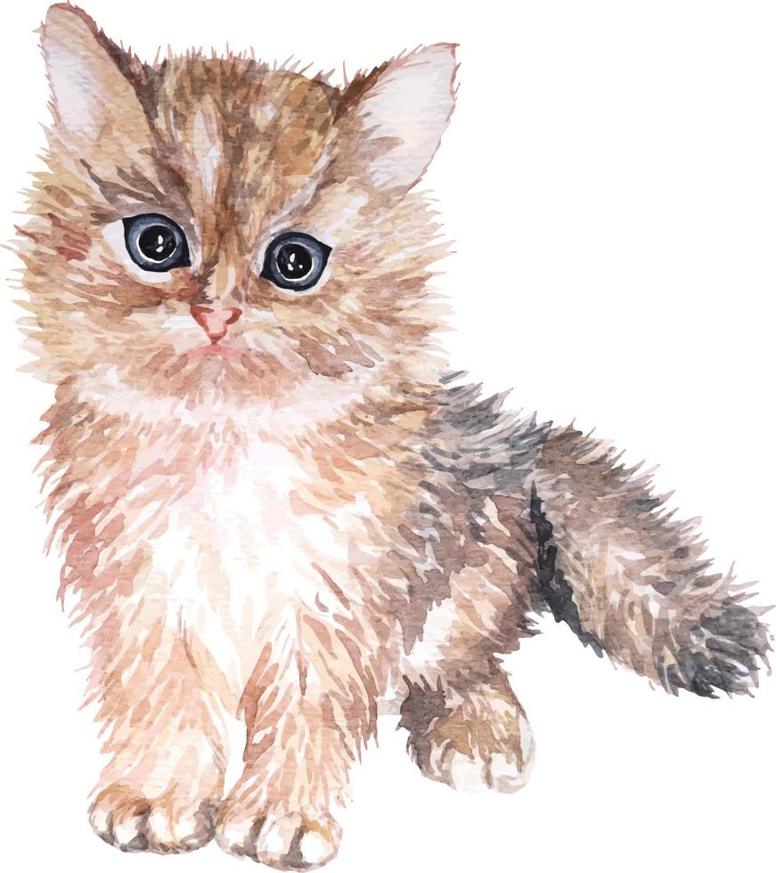 Cat watercolor 1 vector