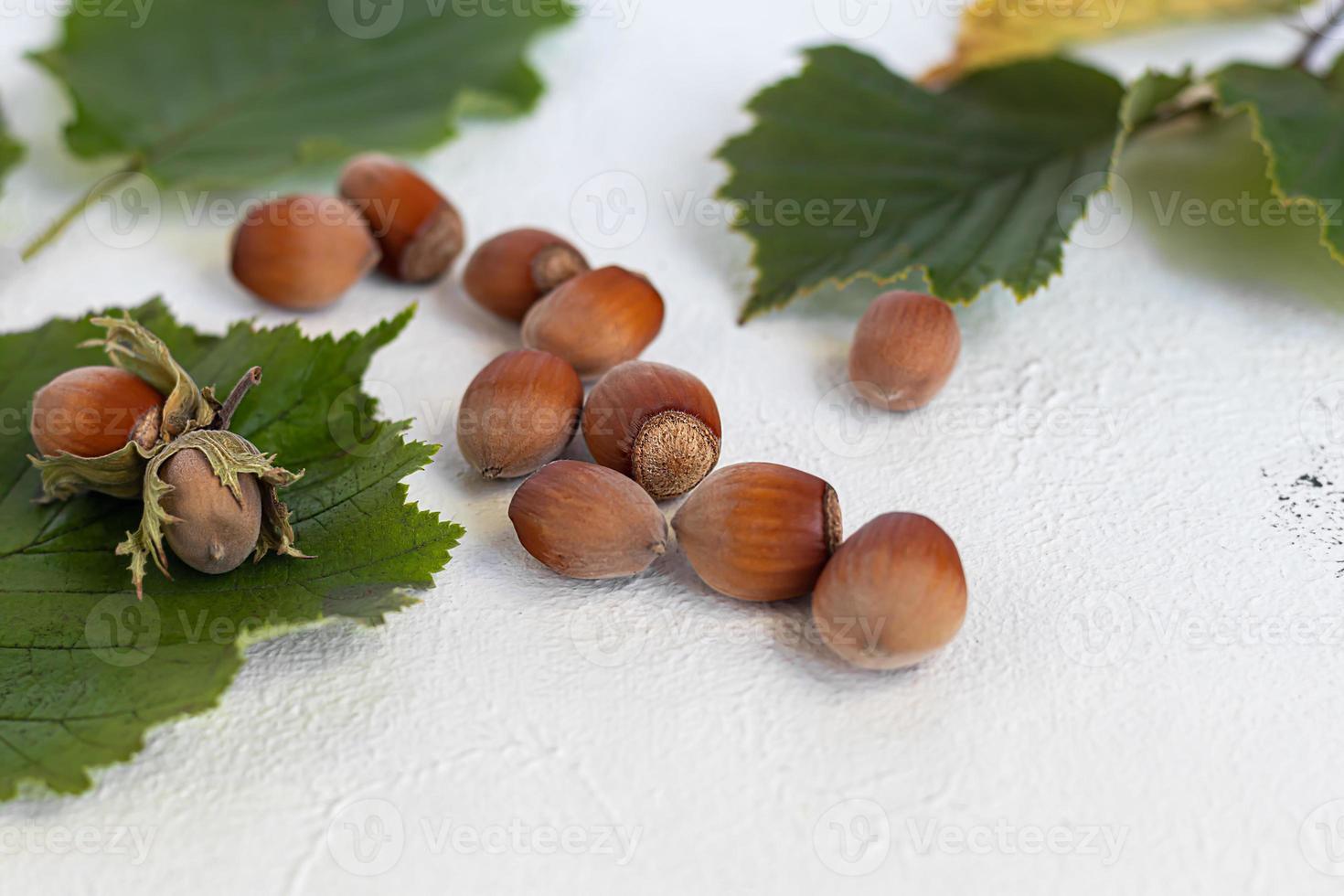 Hazelnuts on a light background with green leaves photo