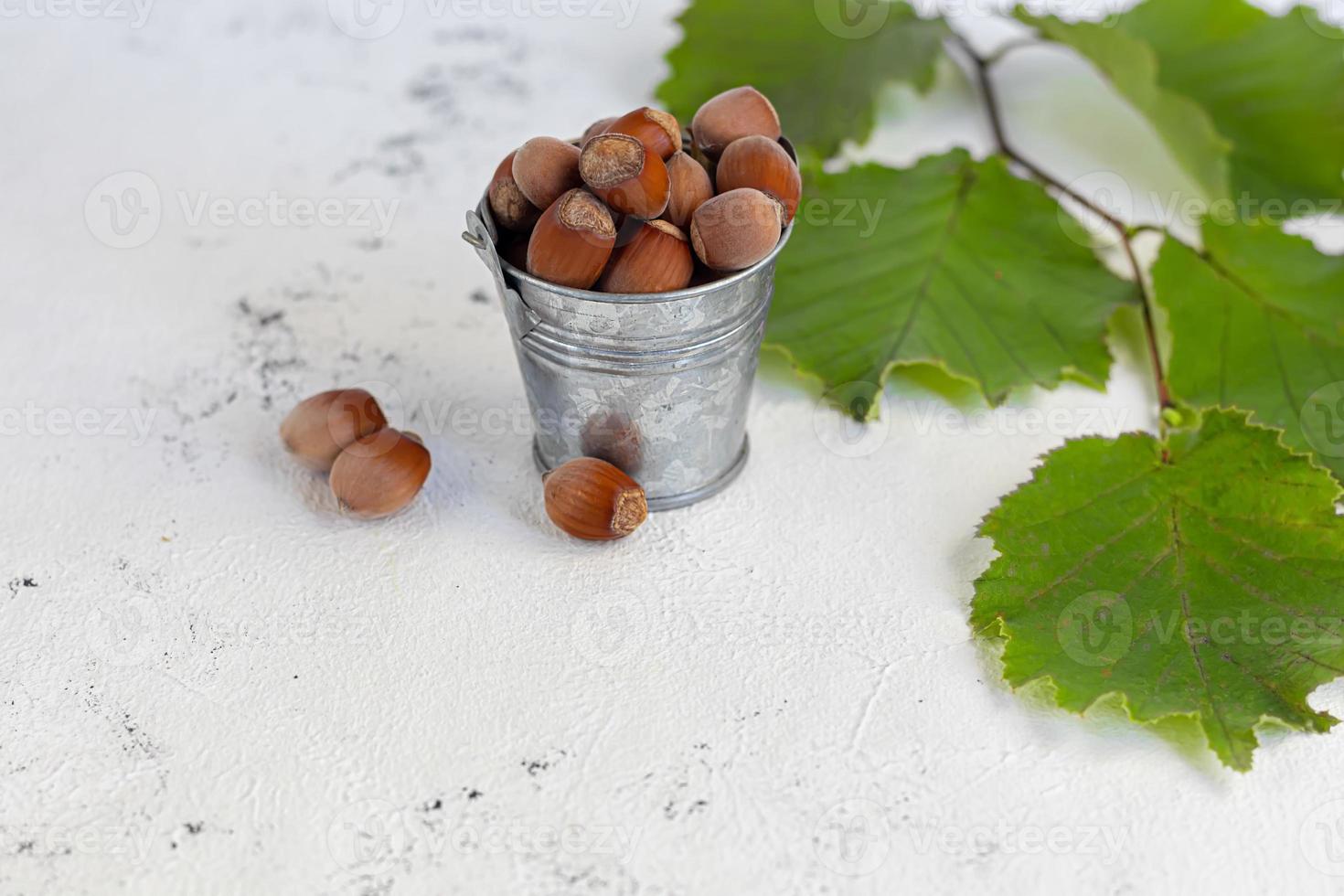 Hazelnuts on a light background with green leaves photo