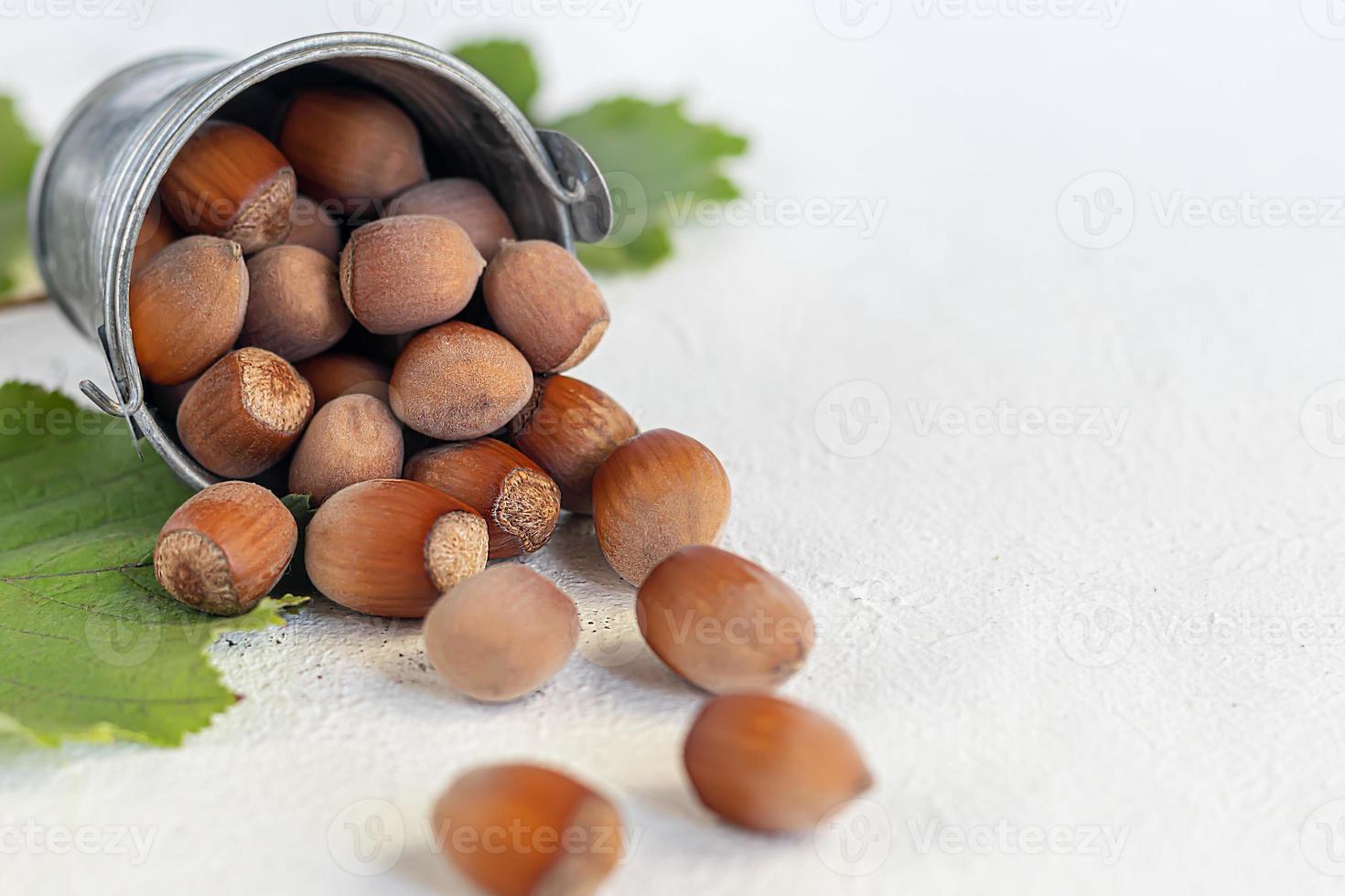 Hazelnuts on a light background with green leaves photo