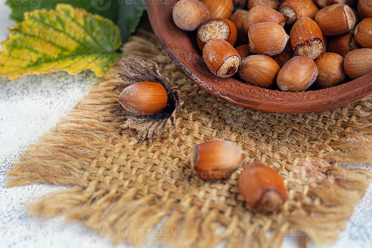 Hazelnuts on a light background with green leaves photo