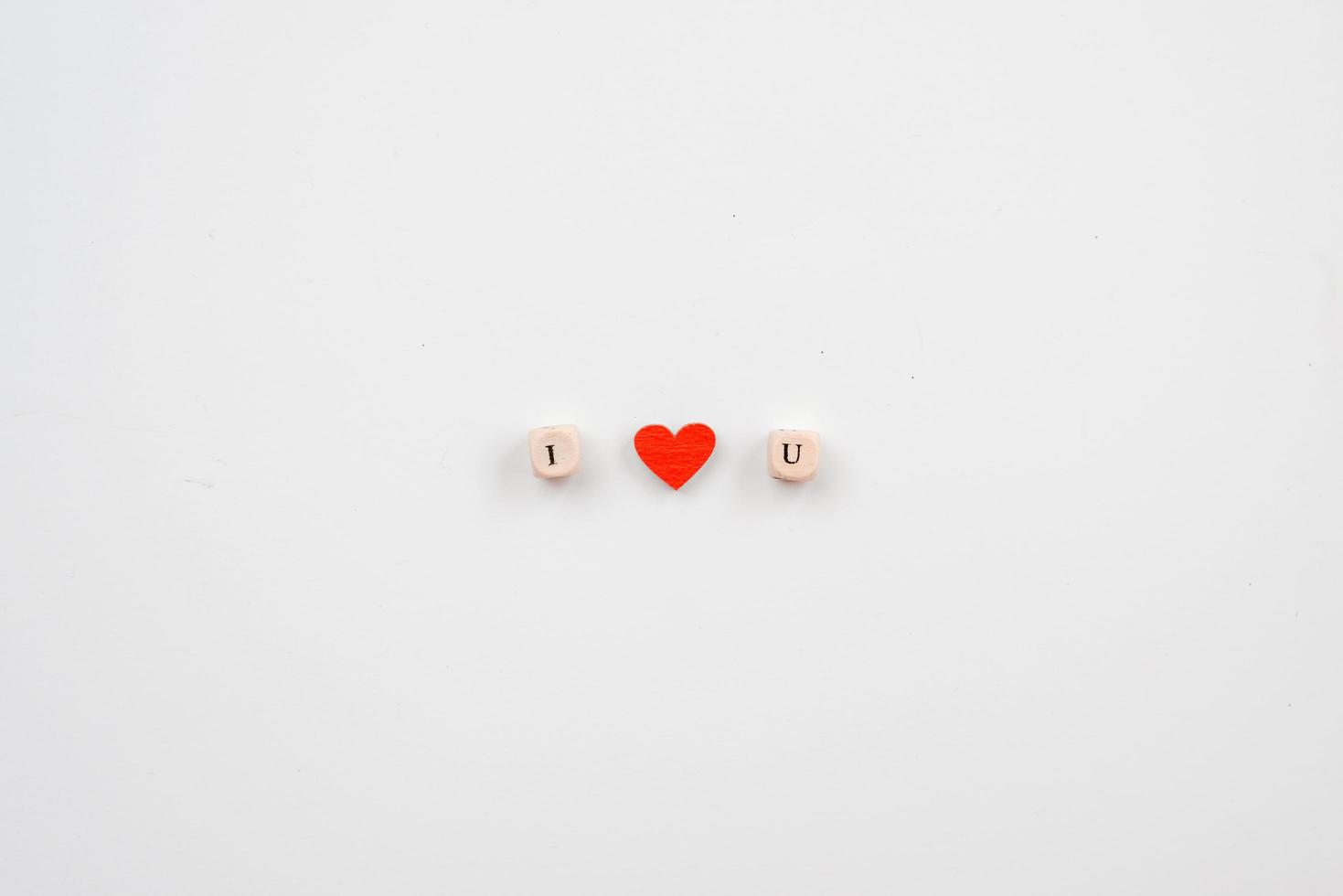 Valentines day concept. On a white background, the bones with the phrase I love you. photo