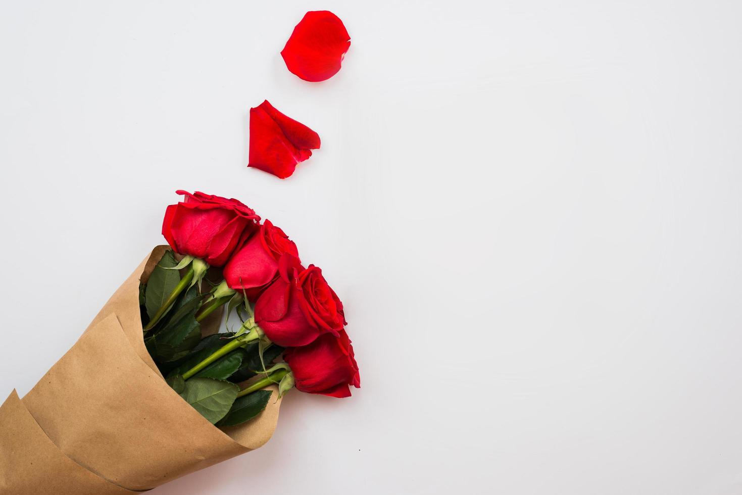 Red roses and petals shape ornaments on white background photo