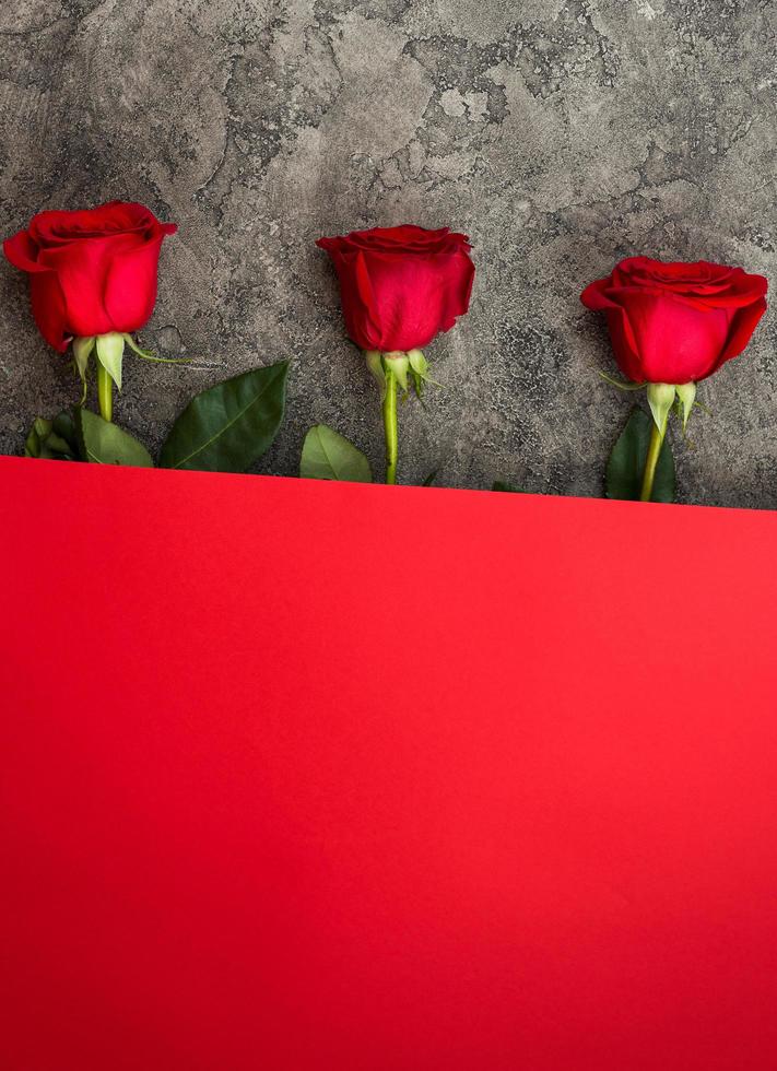 hermosas rosas rojas frescas sobre un fondo gris. lugar para el texto. foto