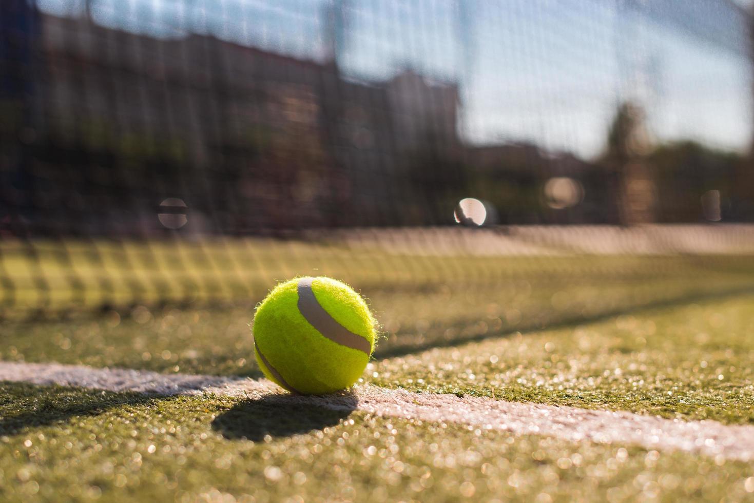 Tennis ball lying on white line on hard court under sunlight photo