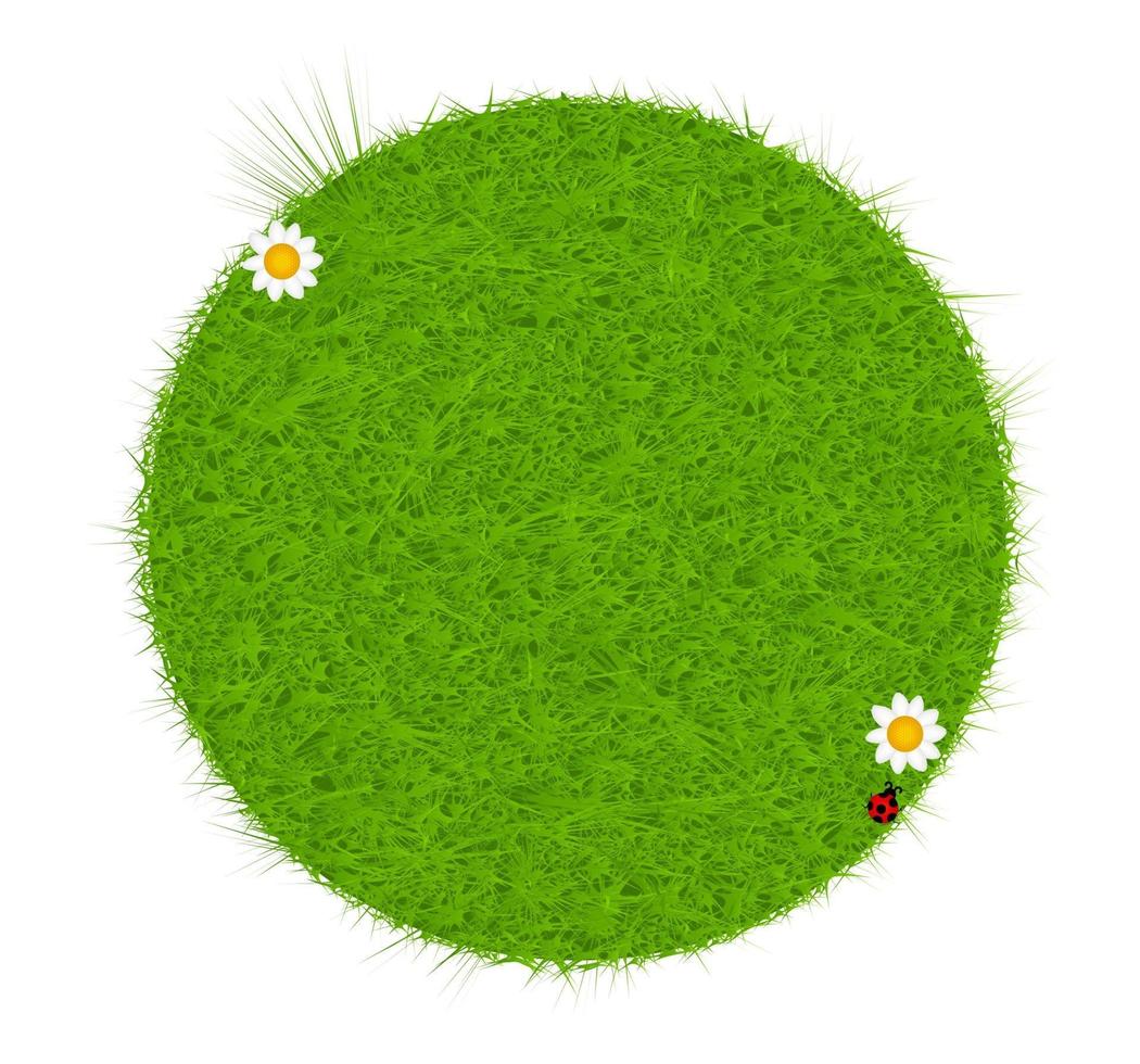 Green eco friendly label from green grass. Vector illustration.