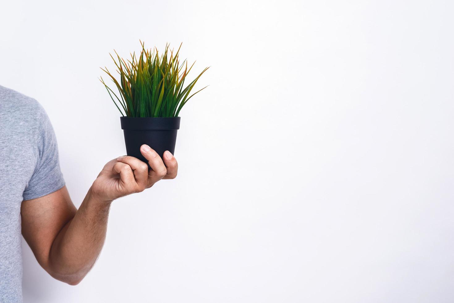 Cropping image of male hands with fresh grass pot .Concept World Environment Day. - Copyspace photo