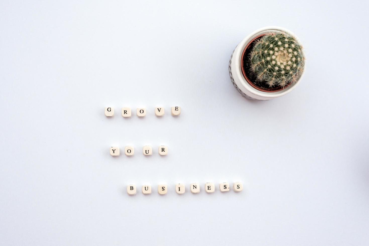 Cactus on  the white table next an inscription grove your business photo