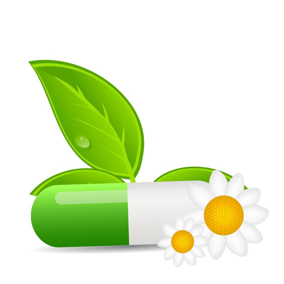 Herbal pill icon.Environment background vector illustration