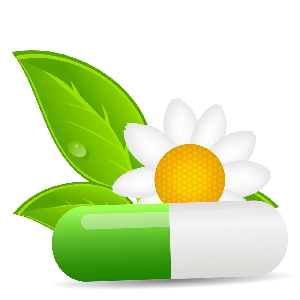 Herbal pill icon.Environment background vector illustration