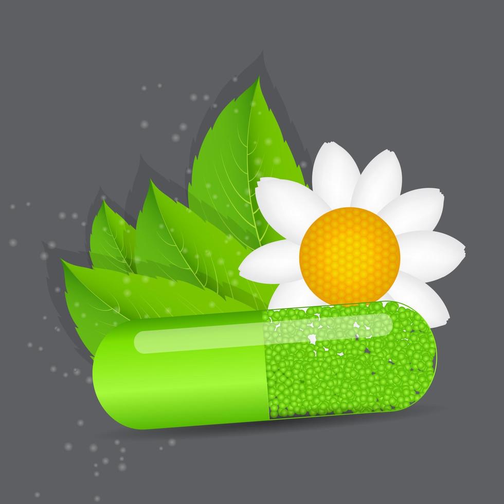 Herbal pill icon.Environment background vector illustration