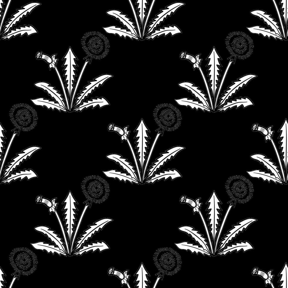 dandelion, seamless b-w vector