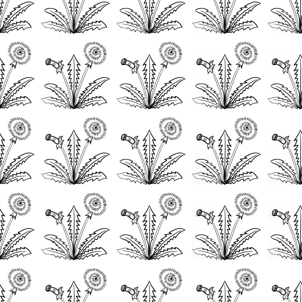 dandelion, seamless b-w vector