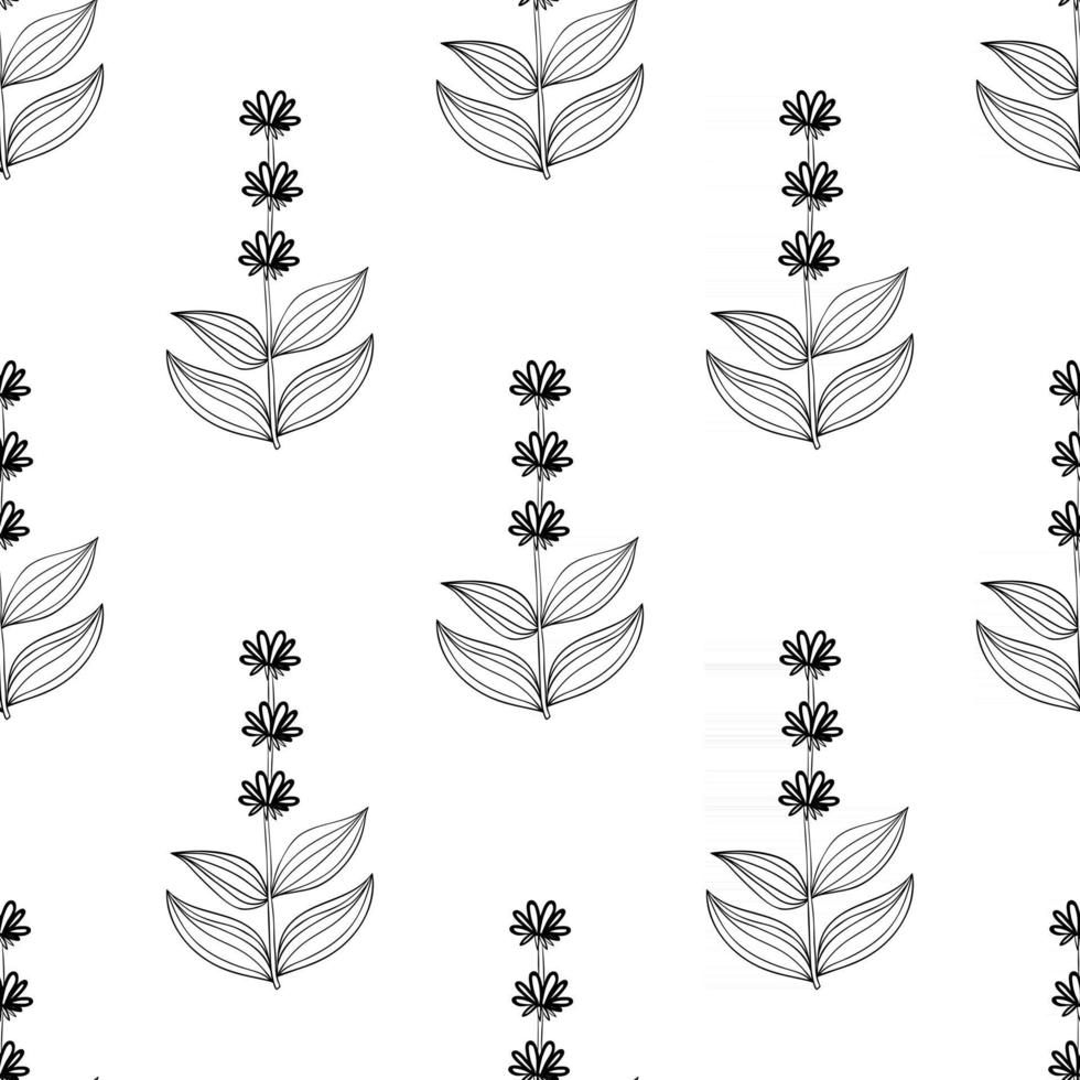 gentian, seamless b-w vector