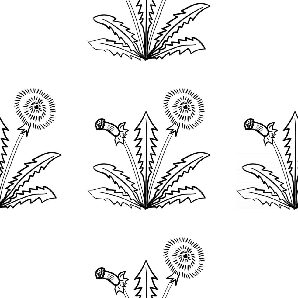 dandelion, seamless b-w vector