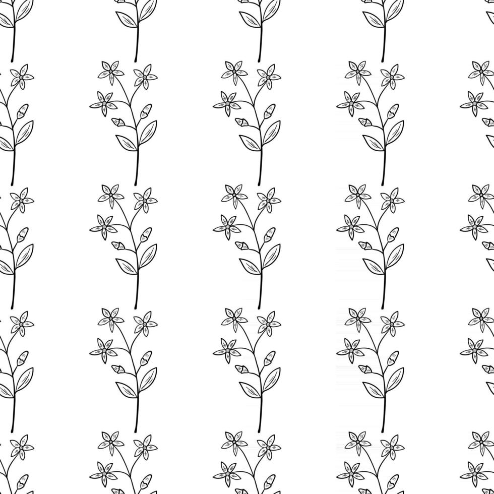 centaury, seamless b-w vector