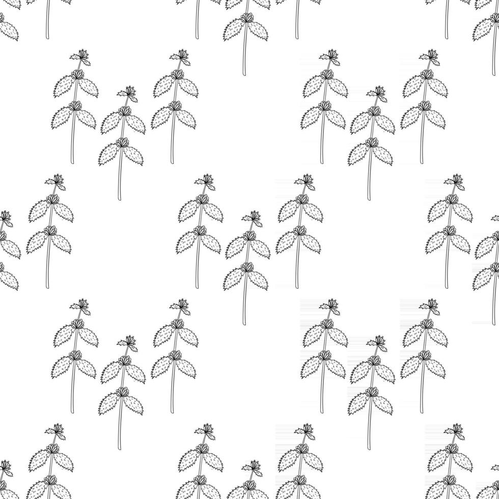 white horehound, seamless b-w vector