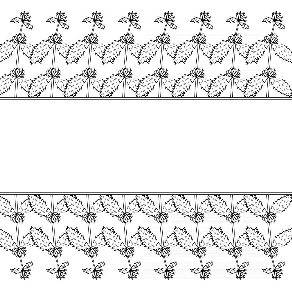 White horehound, border frame vector