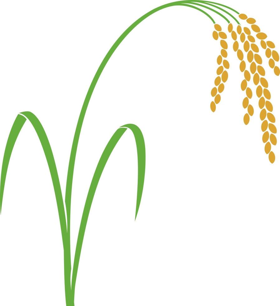 diseño de icono de arroz vector