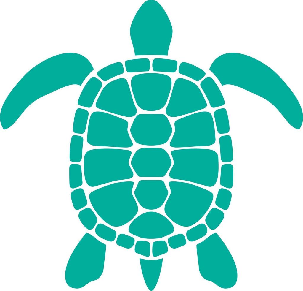 Turtle Icon in Color vector