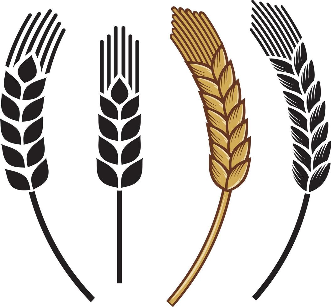 Wheat Ear Icon Set vector