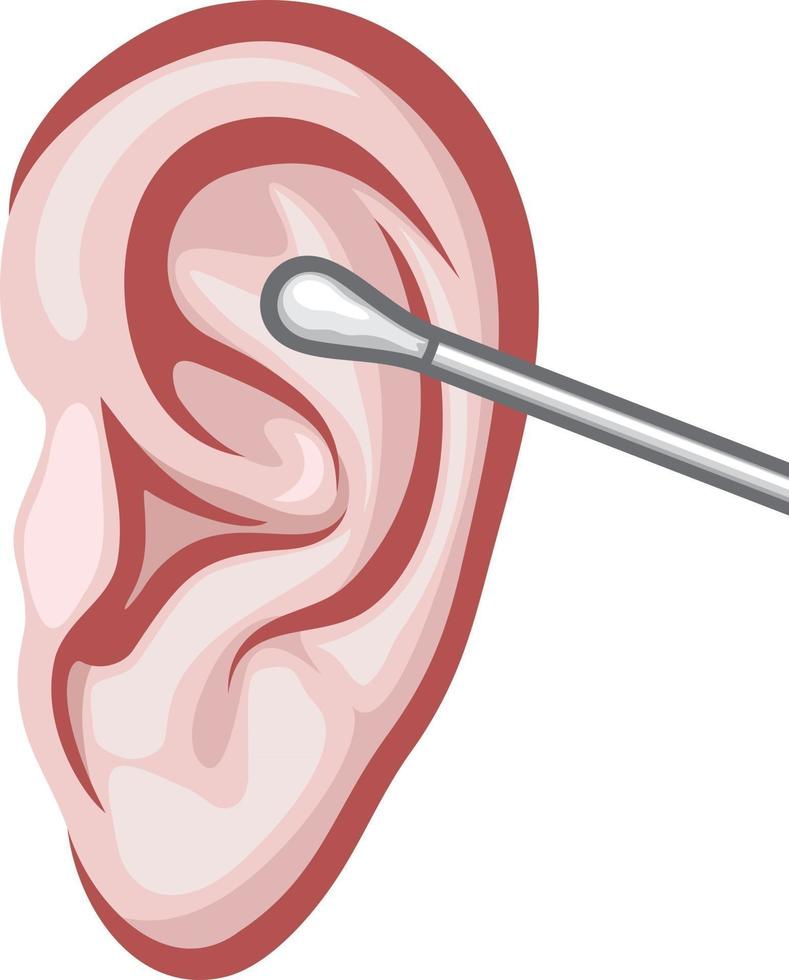 Ear and White Cotton Swab vector