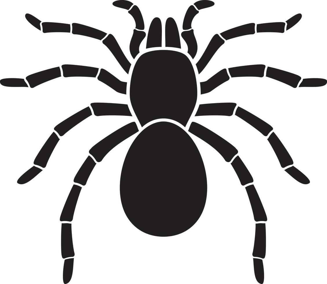 Tarantula Spider Icon vector