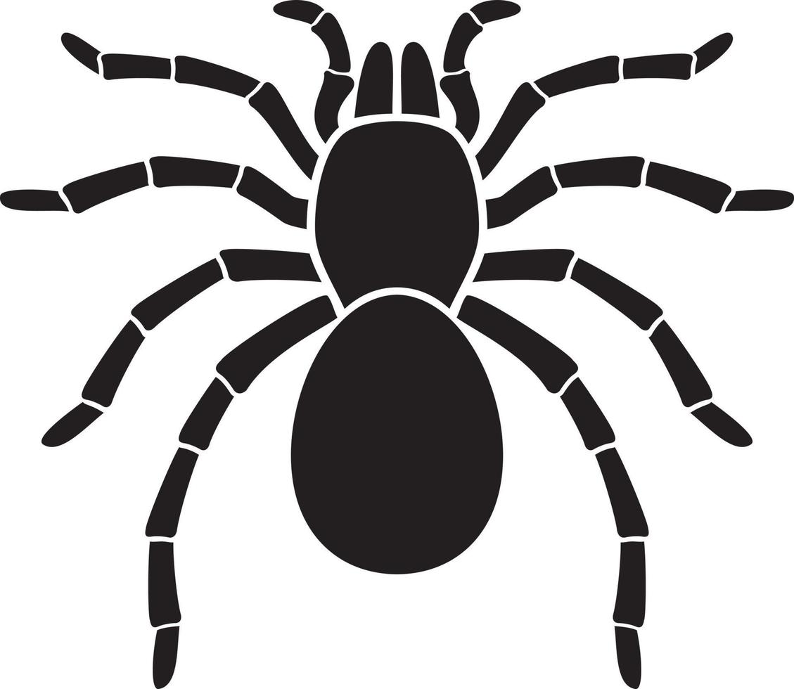 Tarantula Spider Icon vector