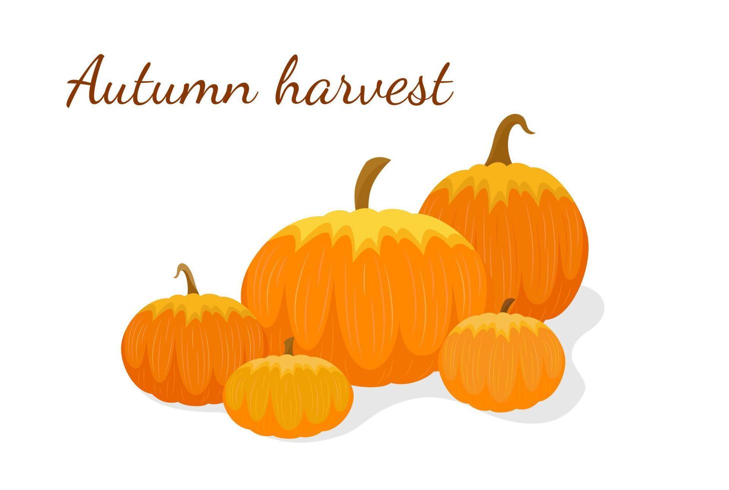 Autumn harvest concept. Pumpkins composition. Thanksgiving holiday. Pile of fall pumpkins isolated. Vector illustration