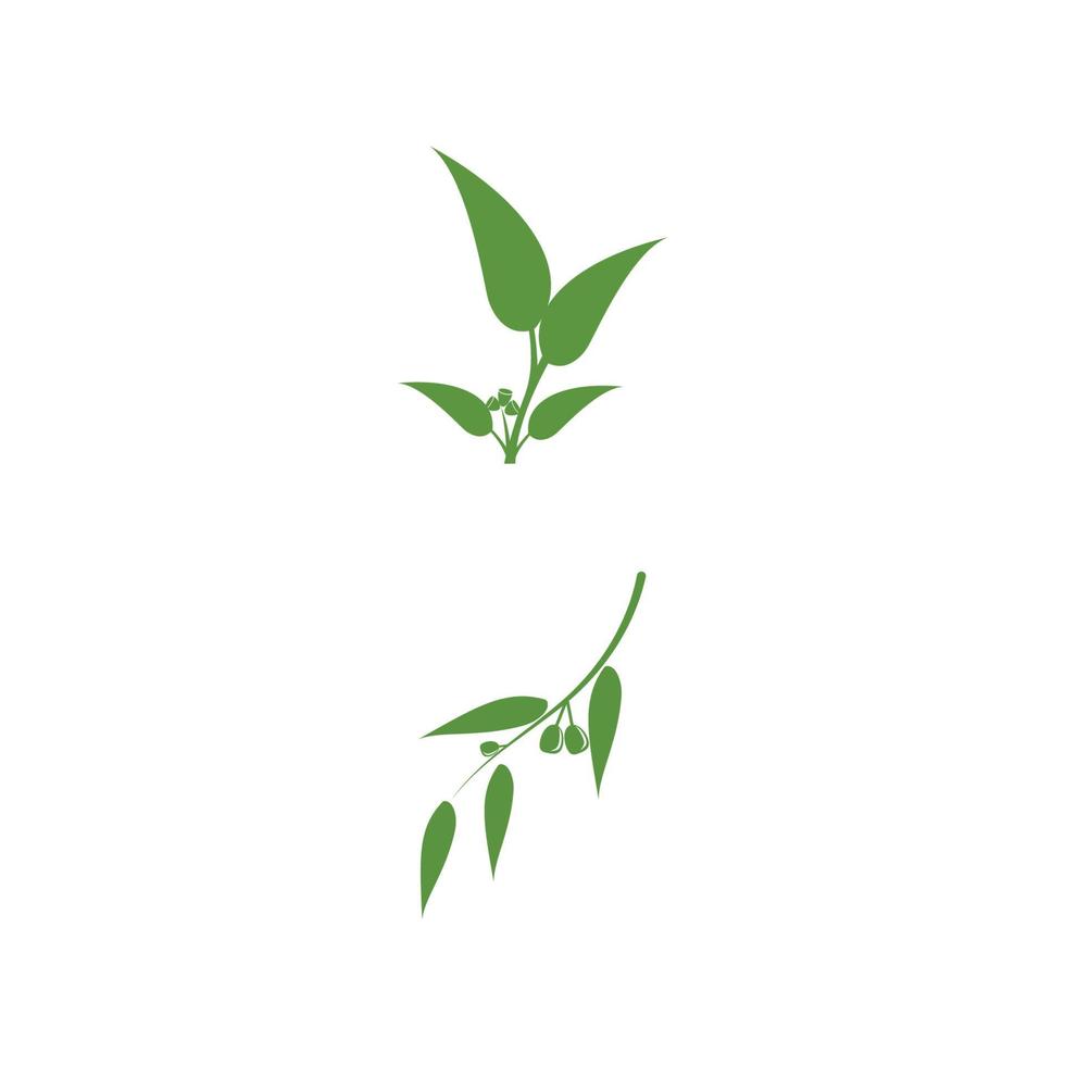 Eucalyptus leaves logo vector template design illustration