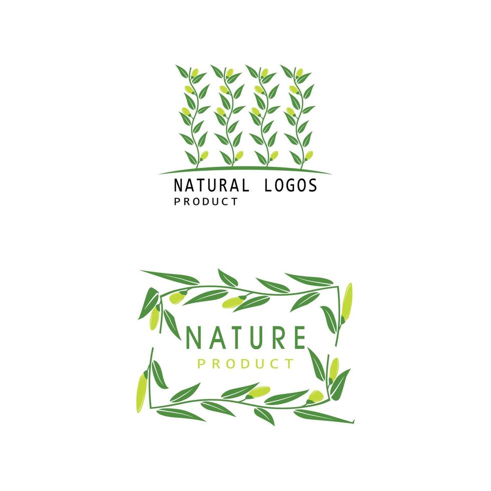 Ilustración de diseño de plantilla de vector de logotipo de hojas de eucalipto