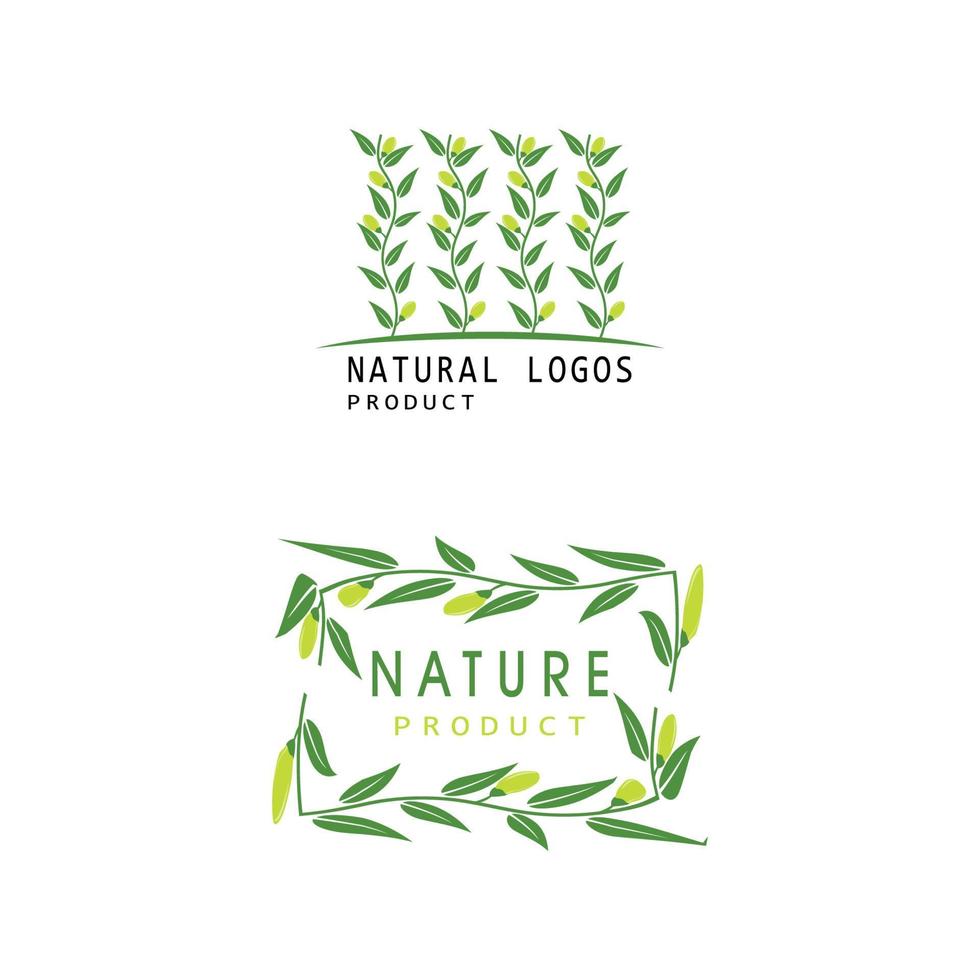 Eucalyptus leaves logo vector template design illustration