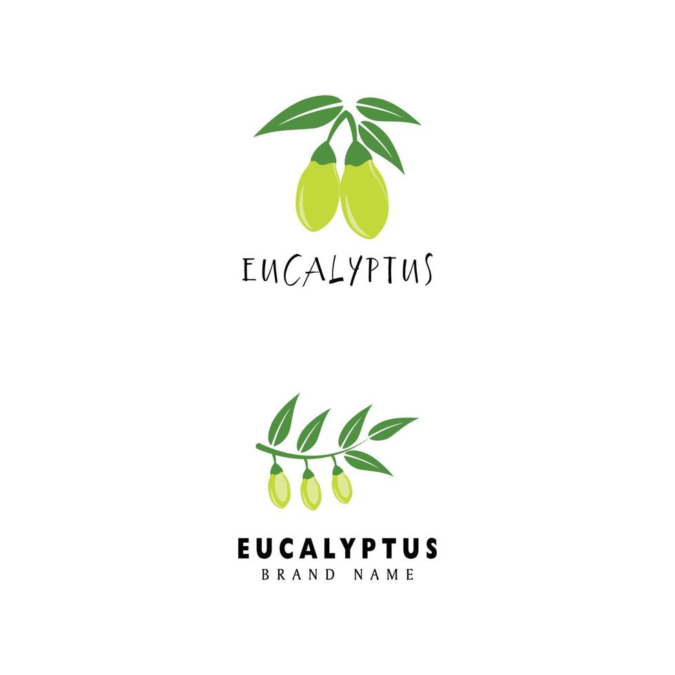 Ilustración de diseño de plantilla de vector de logotipo de hojas de eucalipto