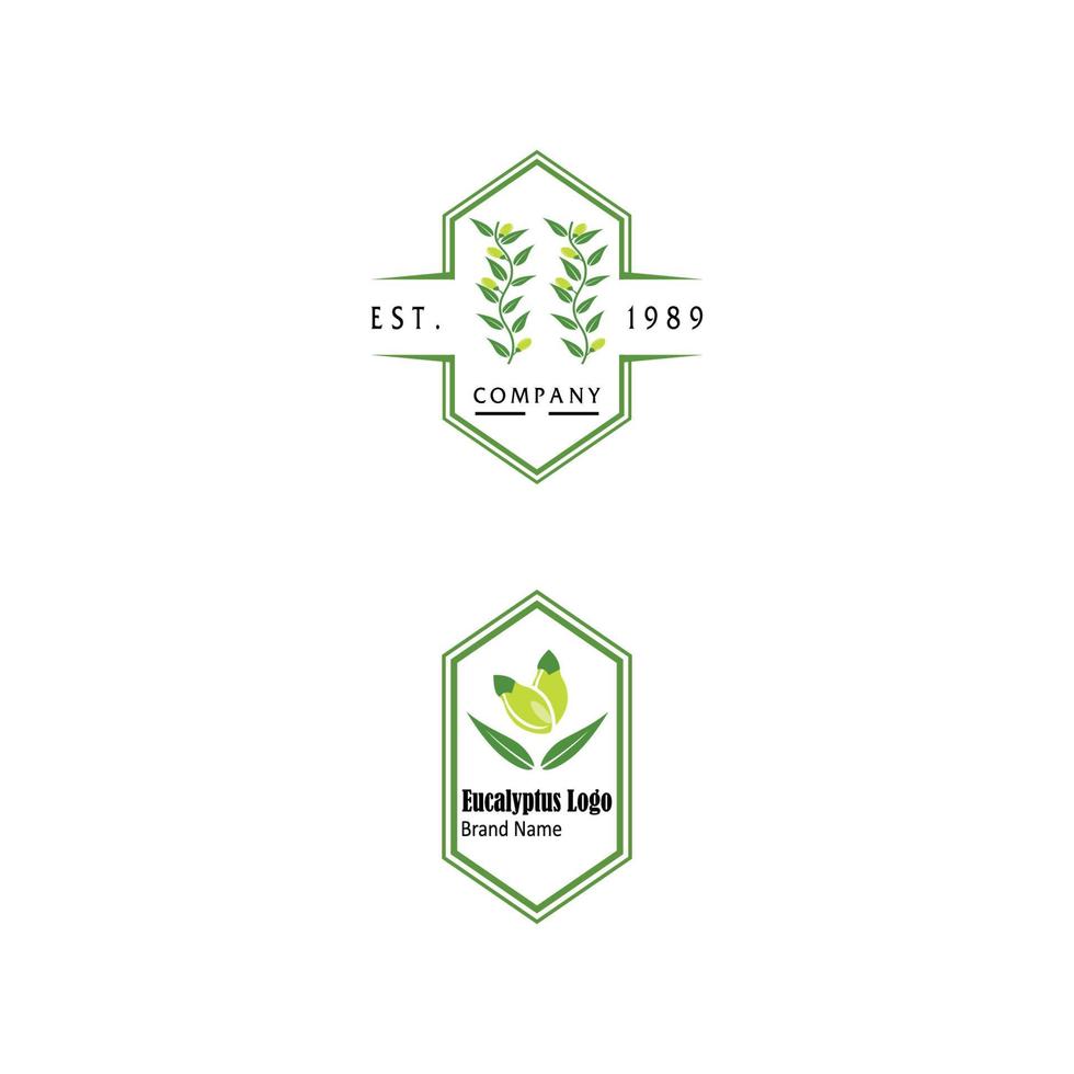 Eucalyptus leaves logo vector template design illustration