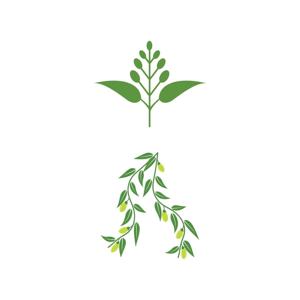 Ilustración de diseño de plantilla de vector de logotipo de hojas de eucalipto