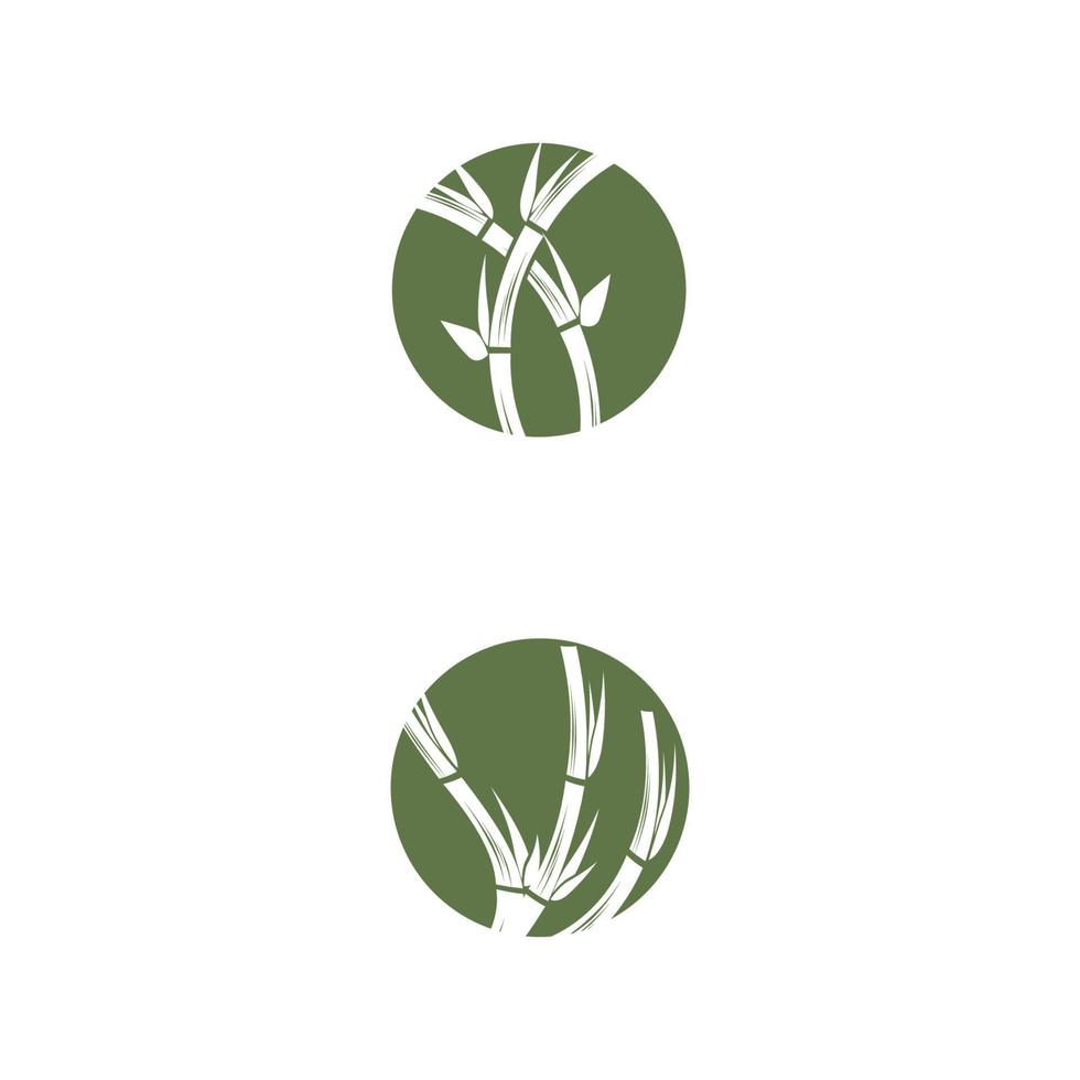 Diseño de ilustración de icono de vector de plantilla de logotipo de bambú