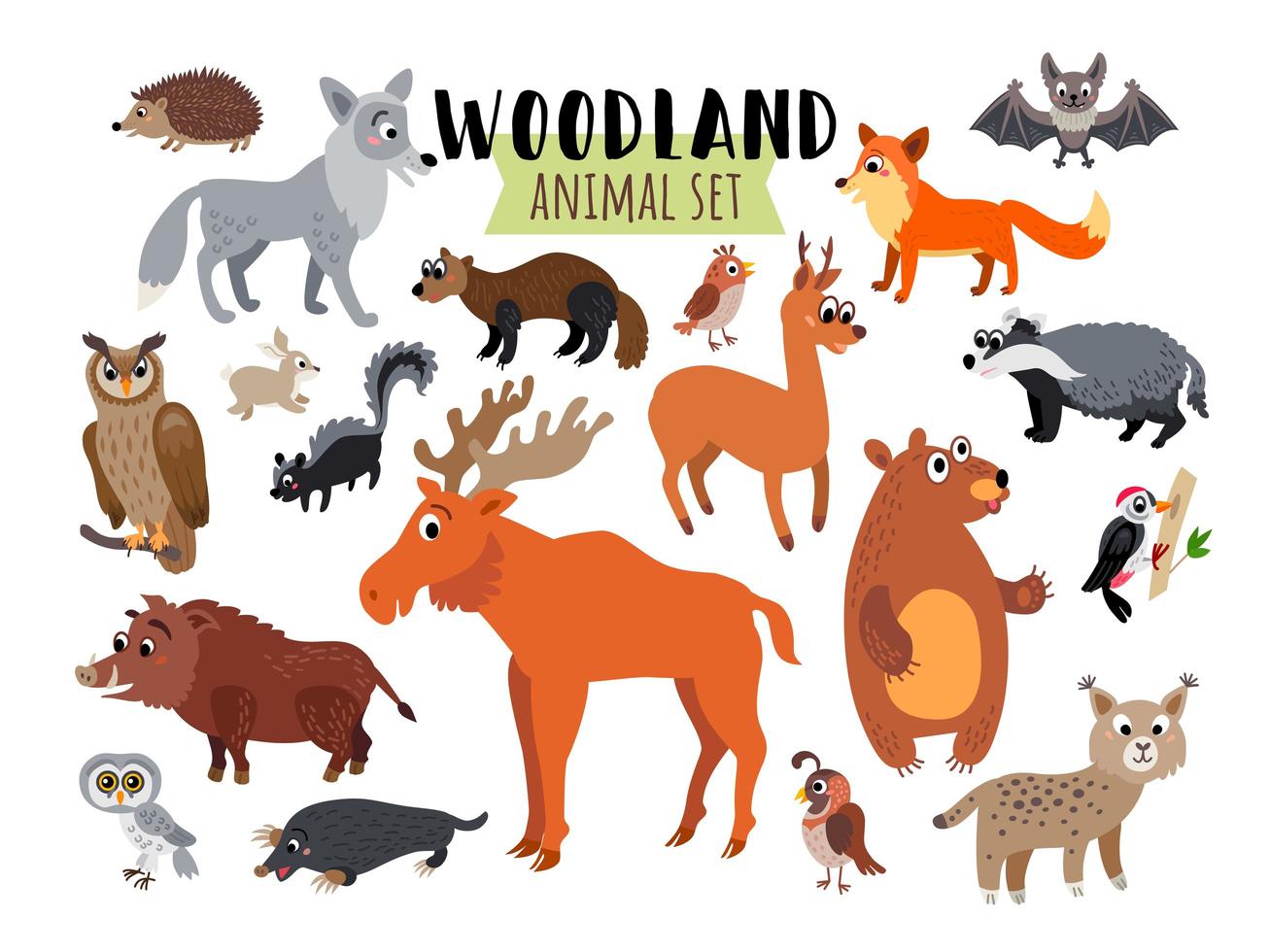 Conjunto de animales del bosque del bosque aislado en blanco vector