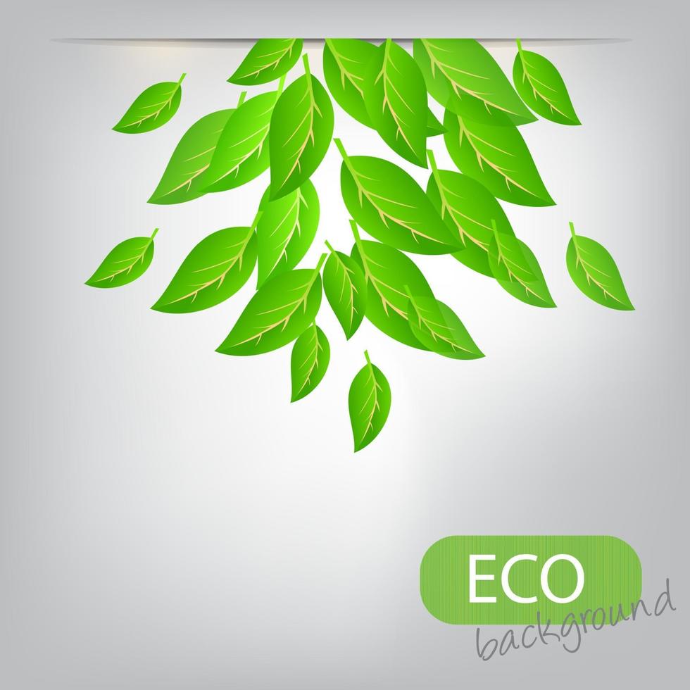 eco leves background. vector illustration