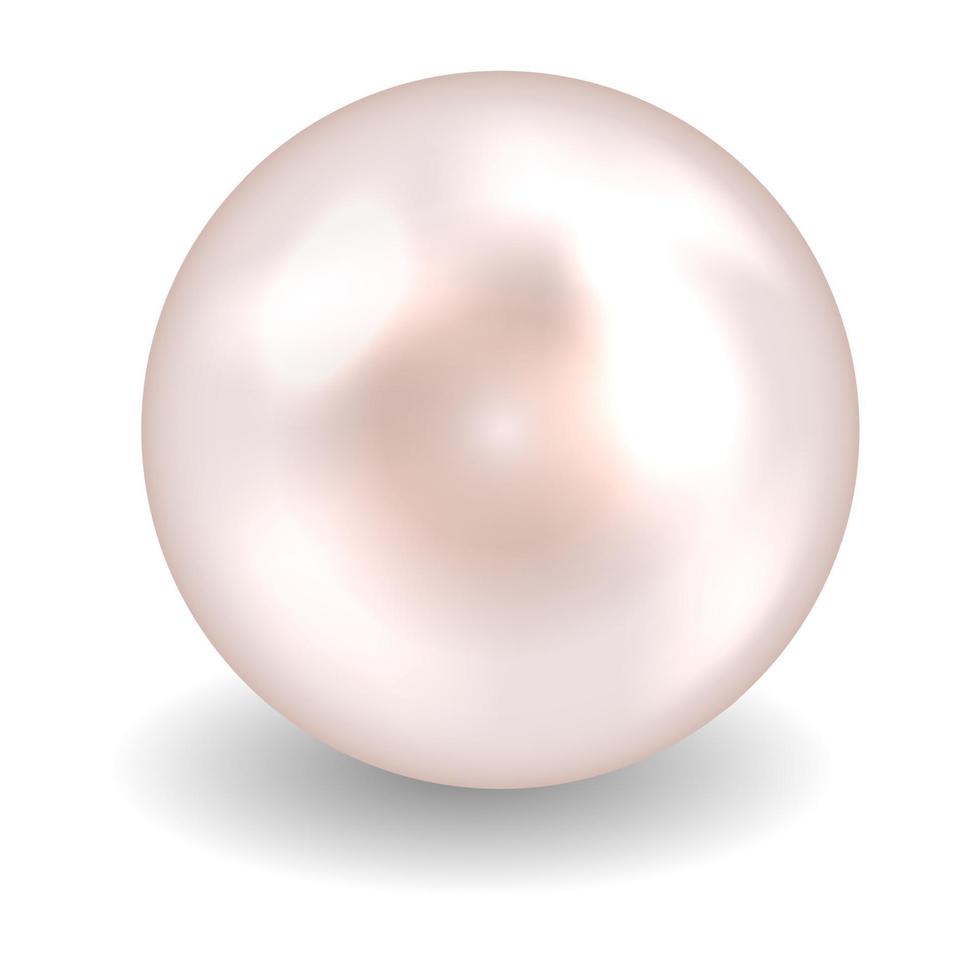 ilustración vectorial de perlas vector