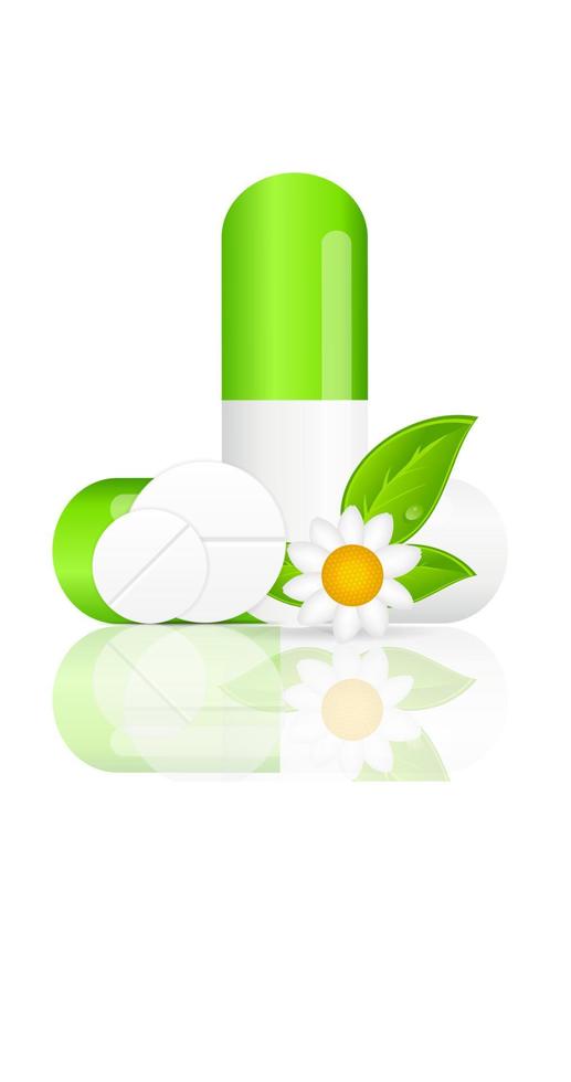 Herbal pill icon.Environment background vector illustration