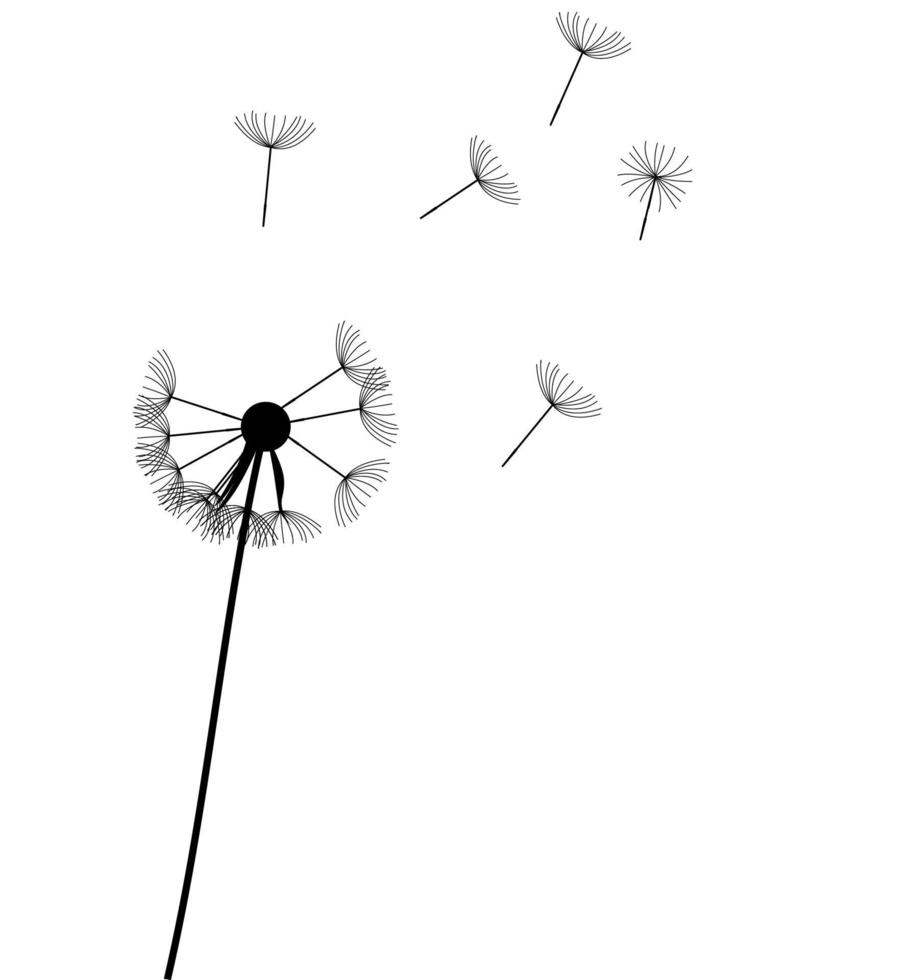 abstract dandelion background vector