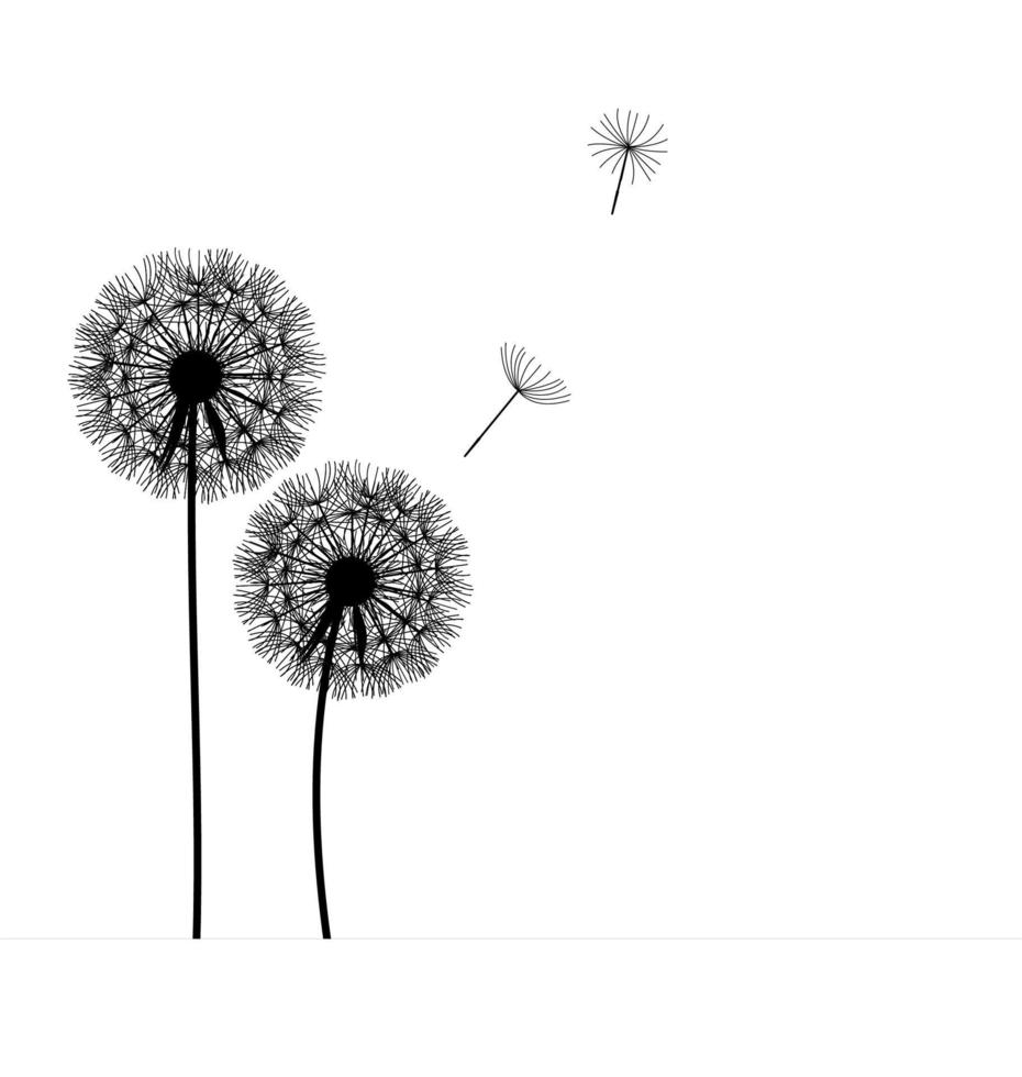 abstract dandelion background  vector illustration