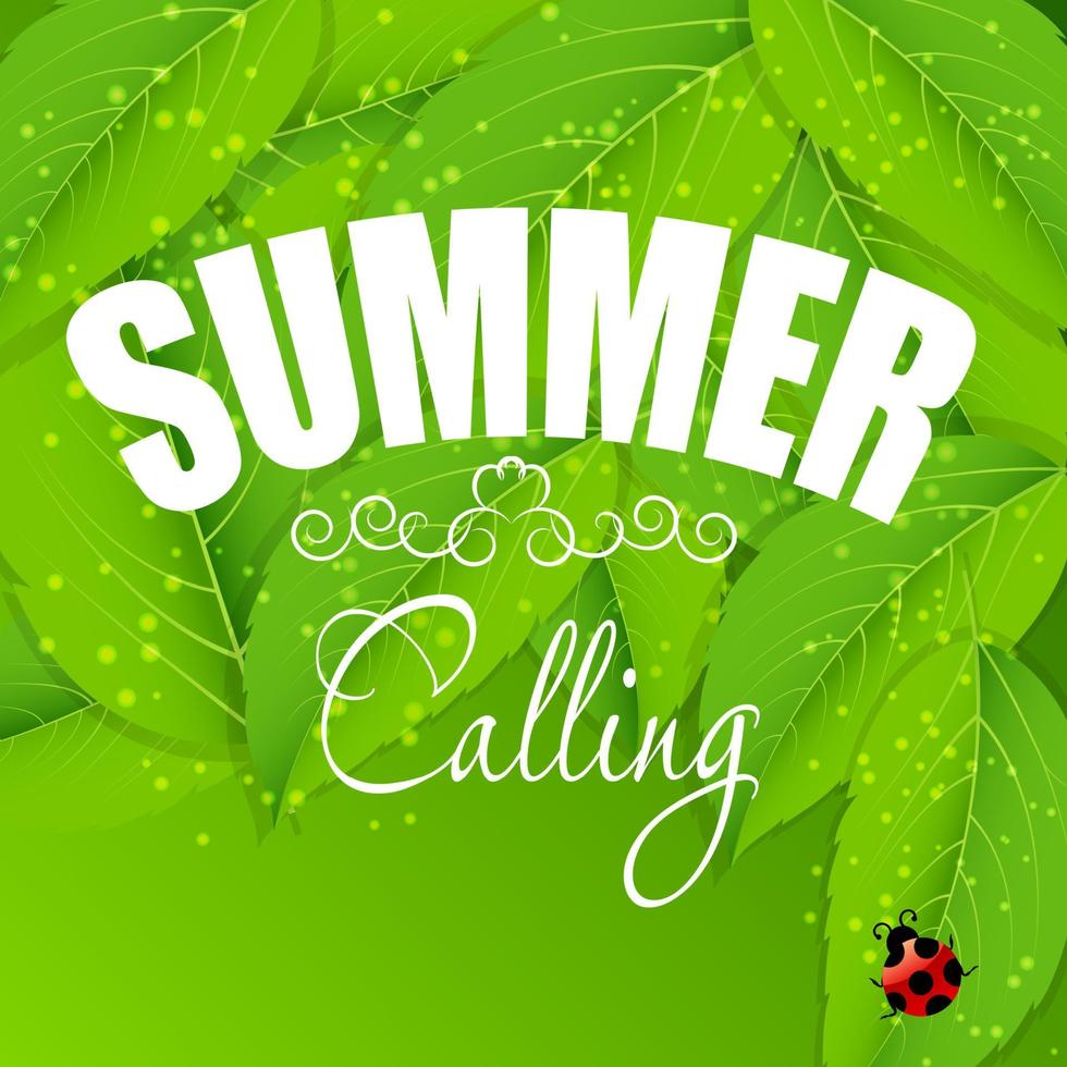 summer holidays poster vector illustration